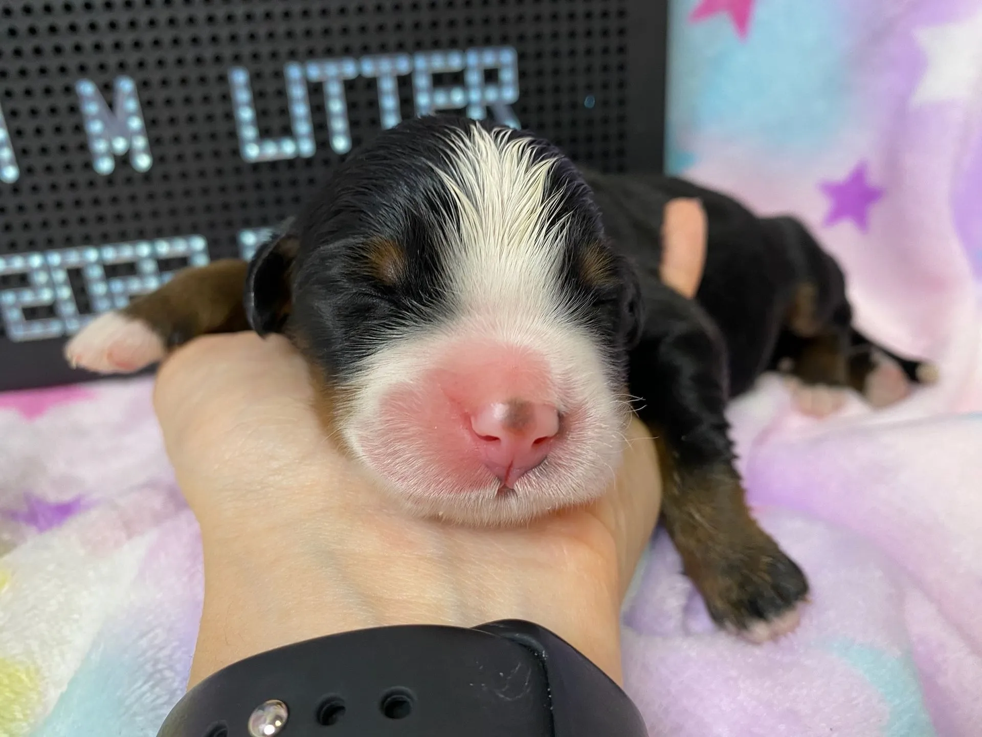 M-alom