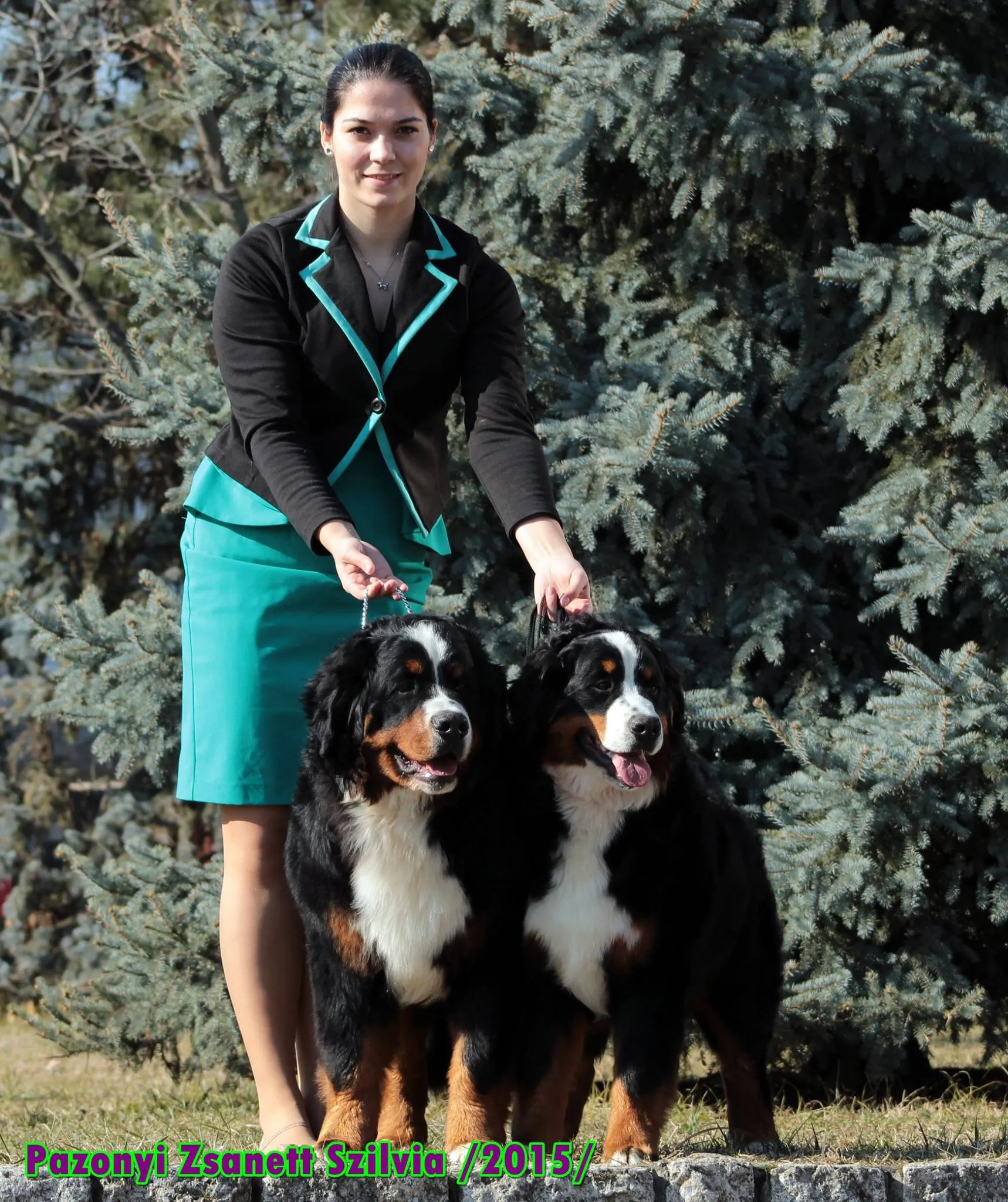 Szuka berni