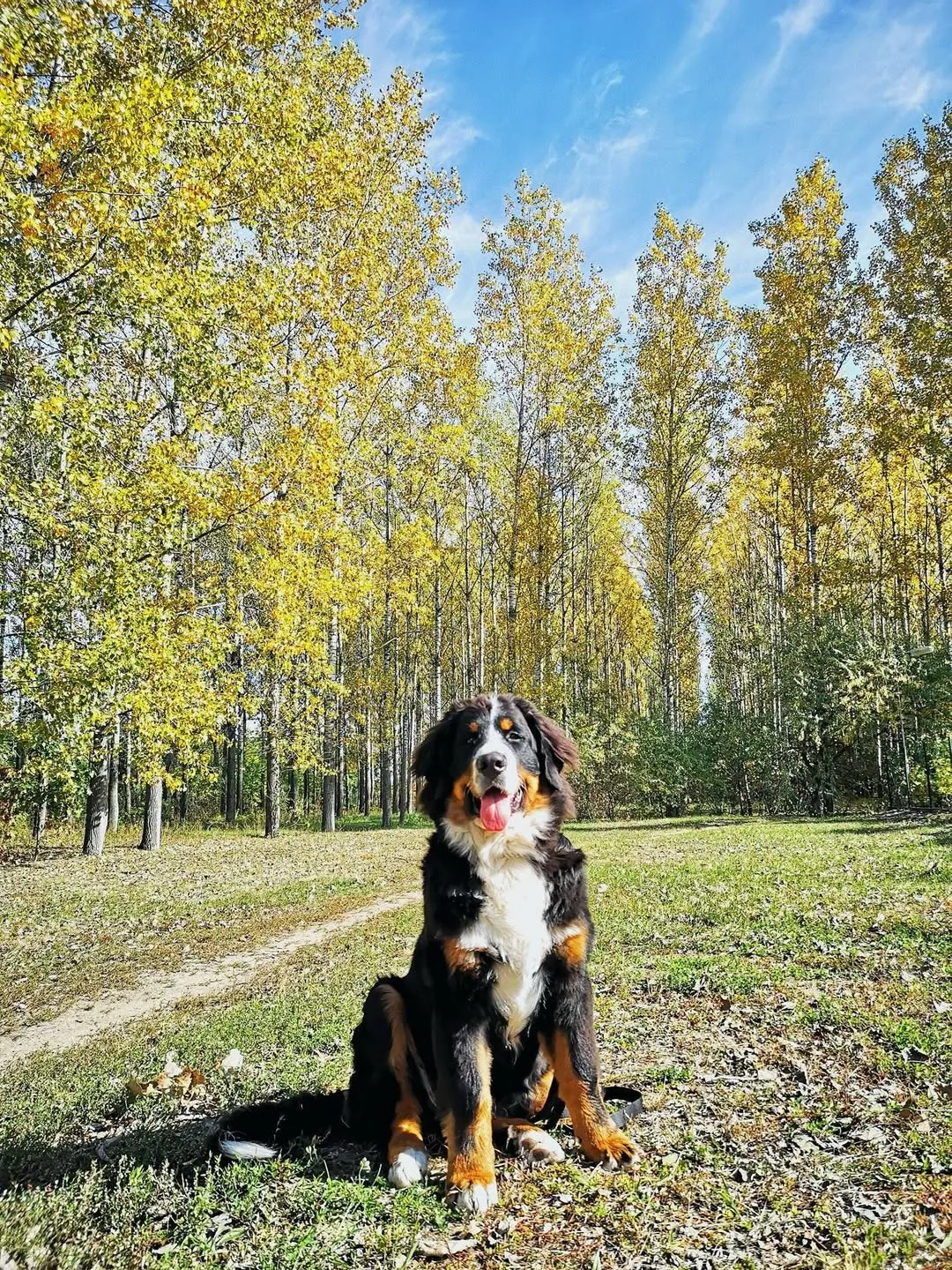 Dagda