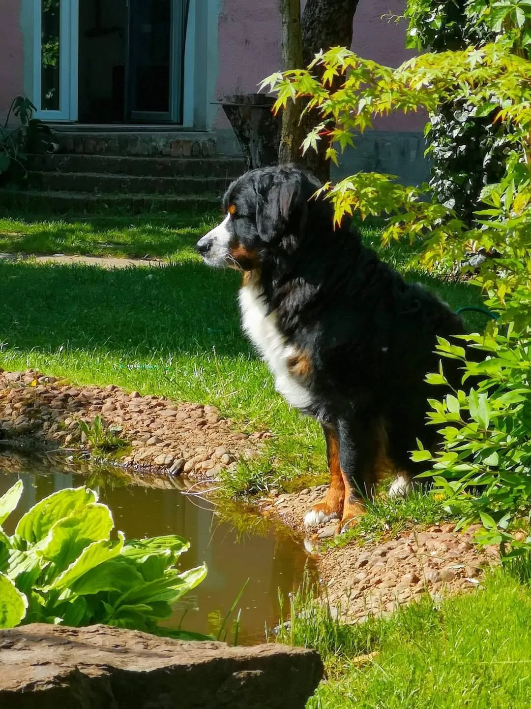 Dagda