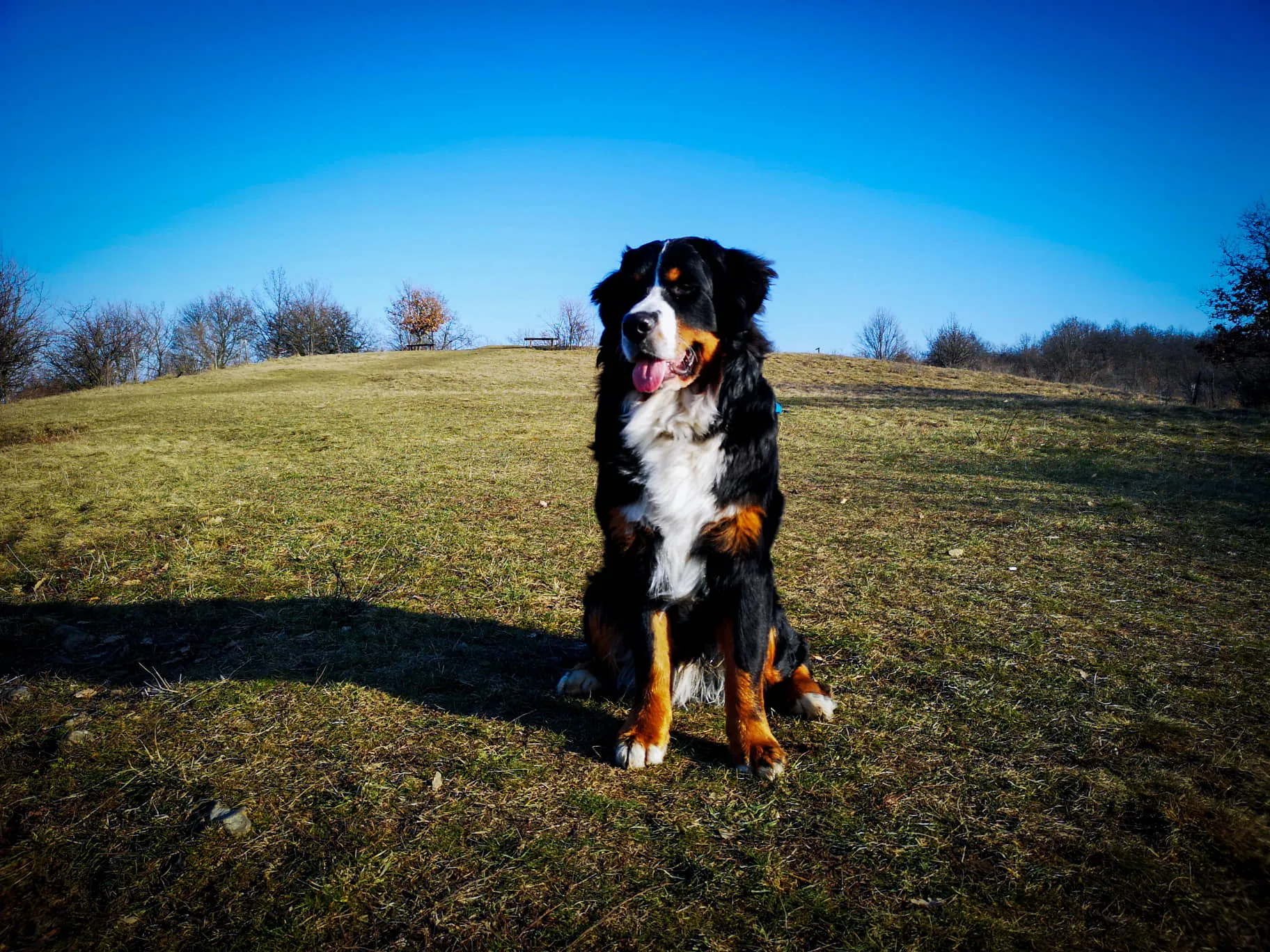 Dagda