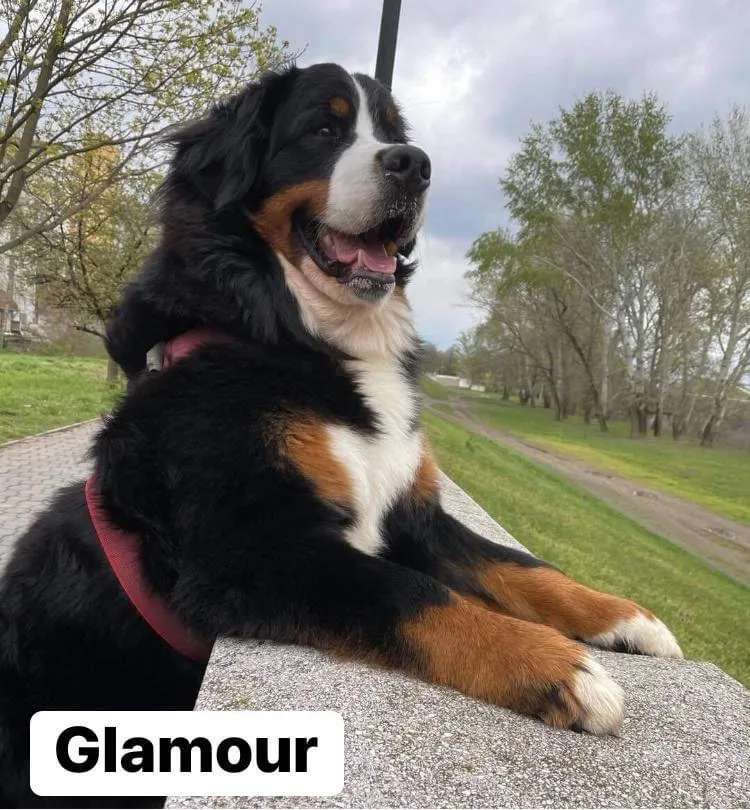Glamour