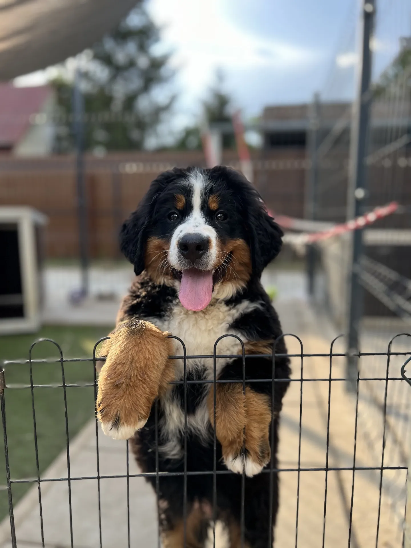 Panna