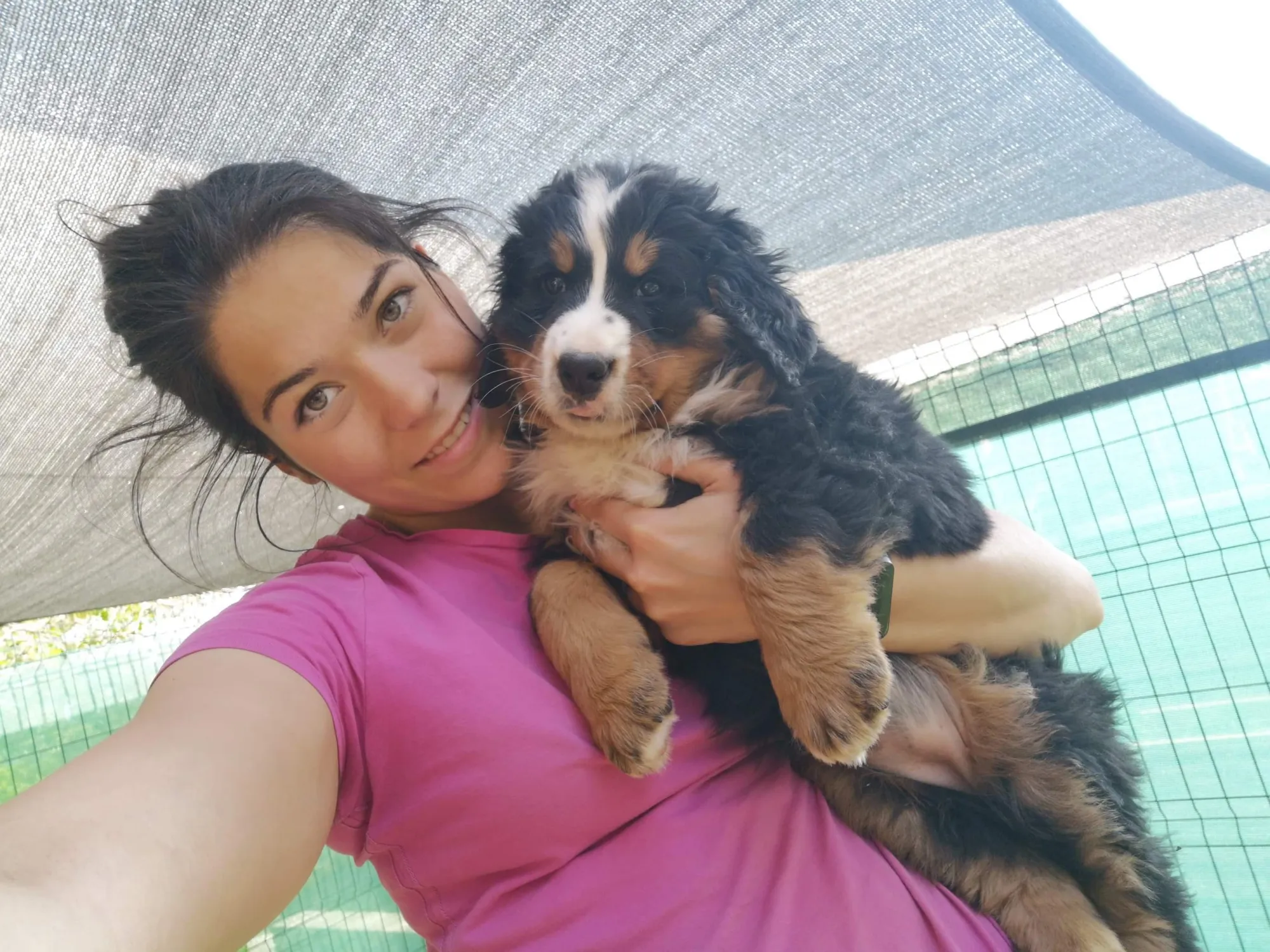 Janka