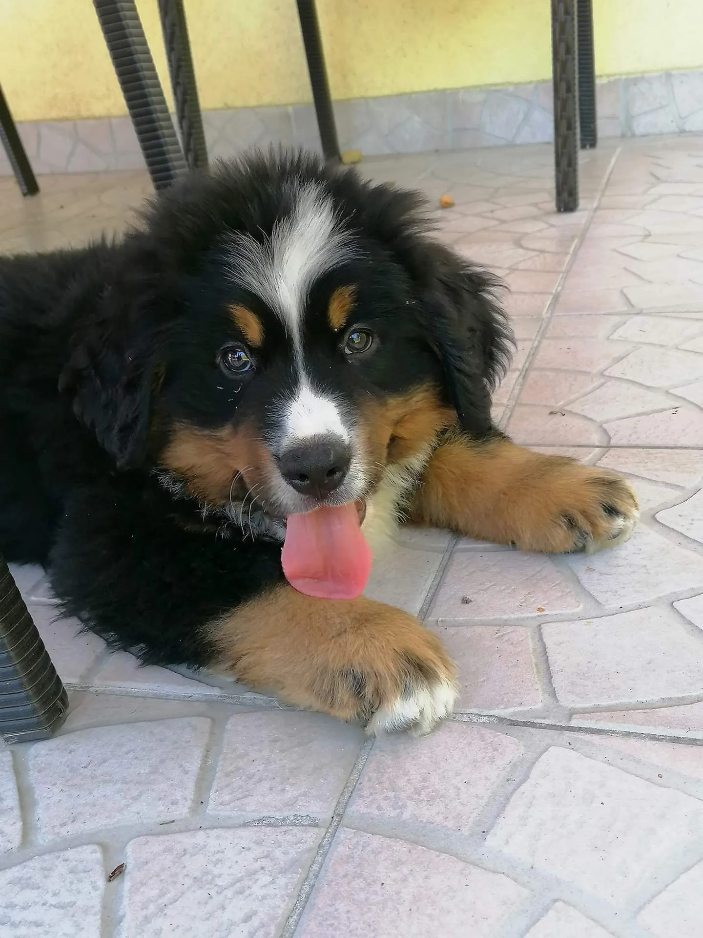 Parker