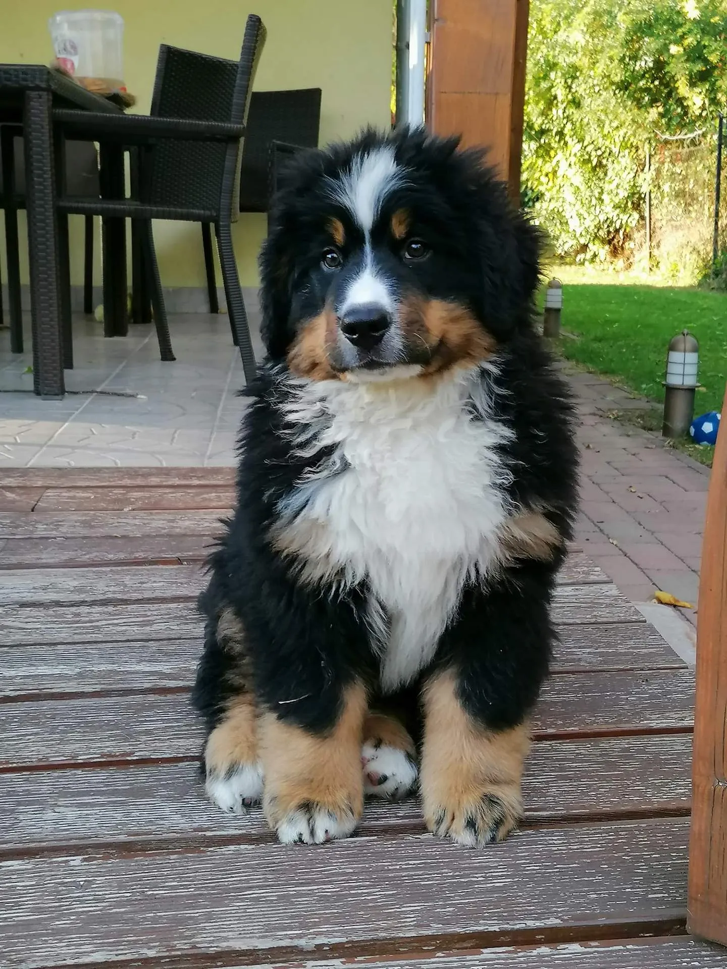 Parker