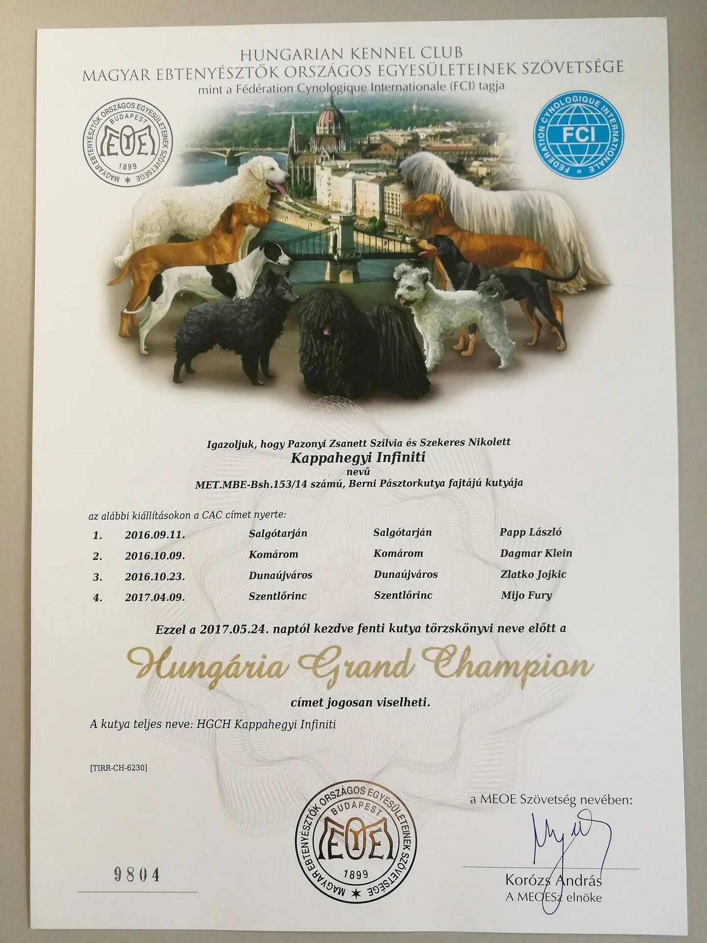 Zara Grand Champion