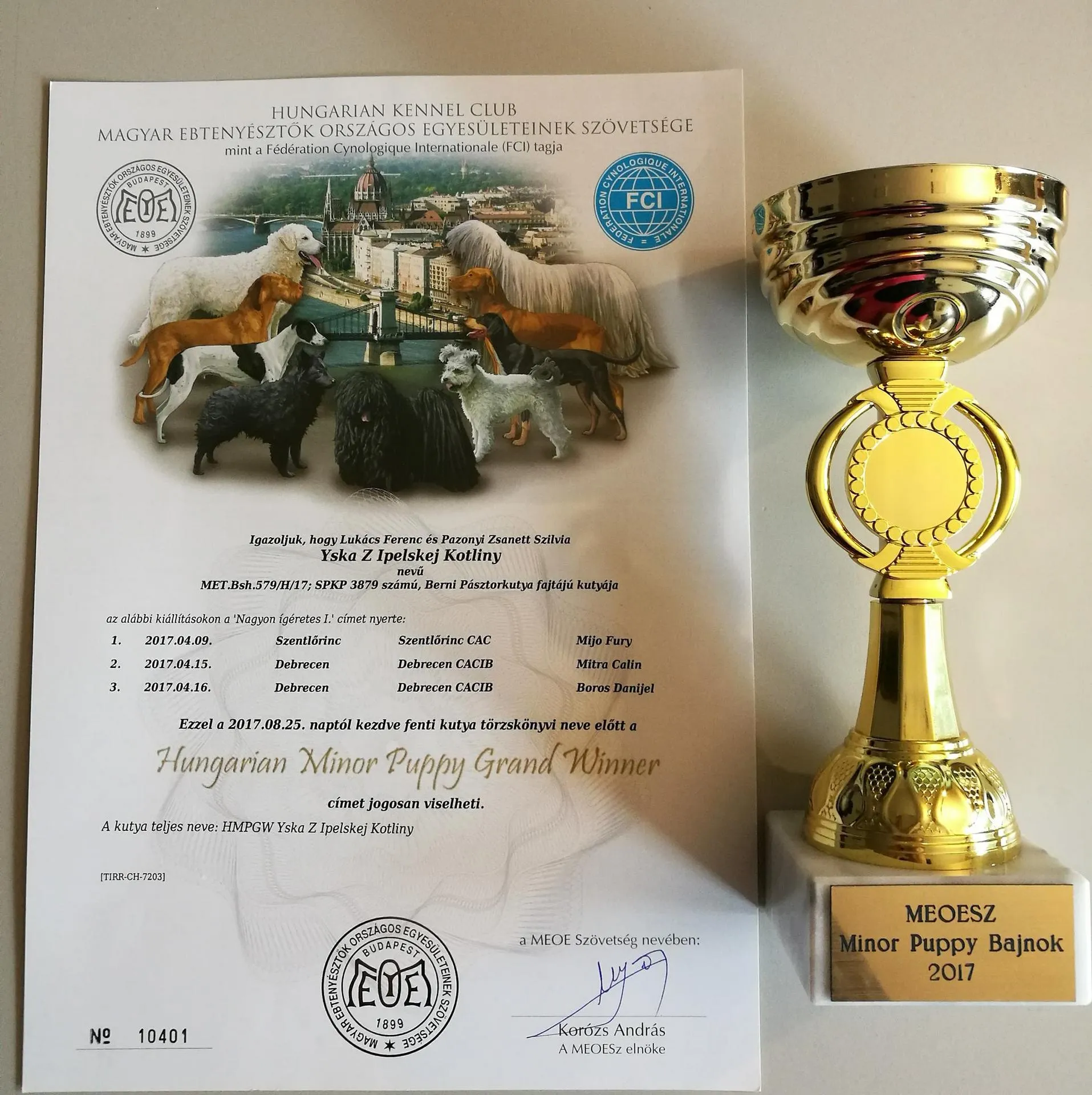 Alina baby champion