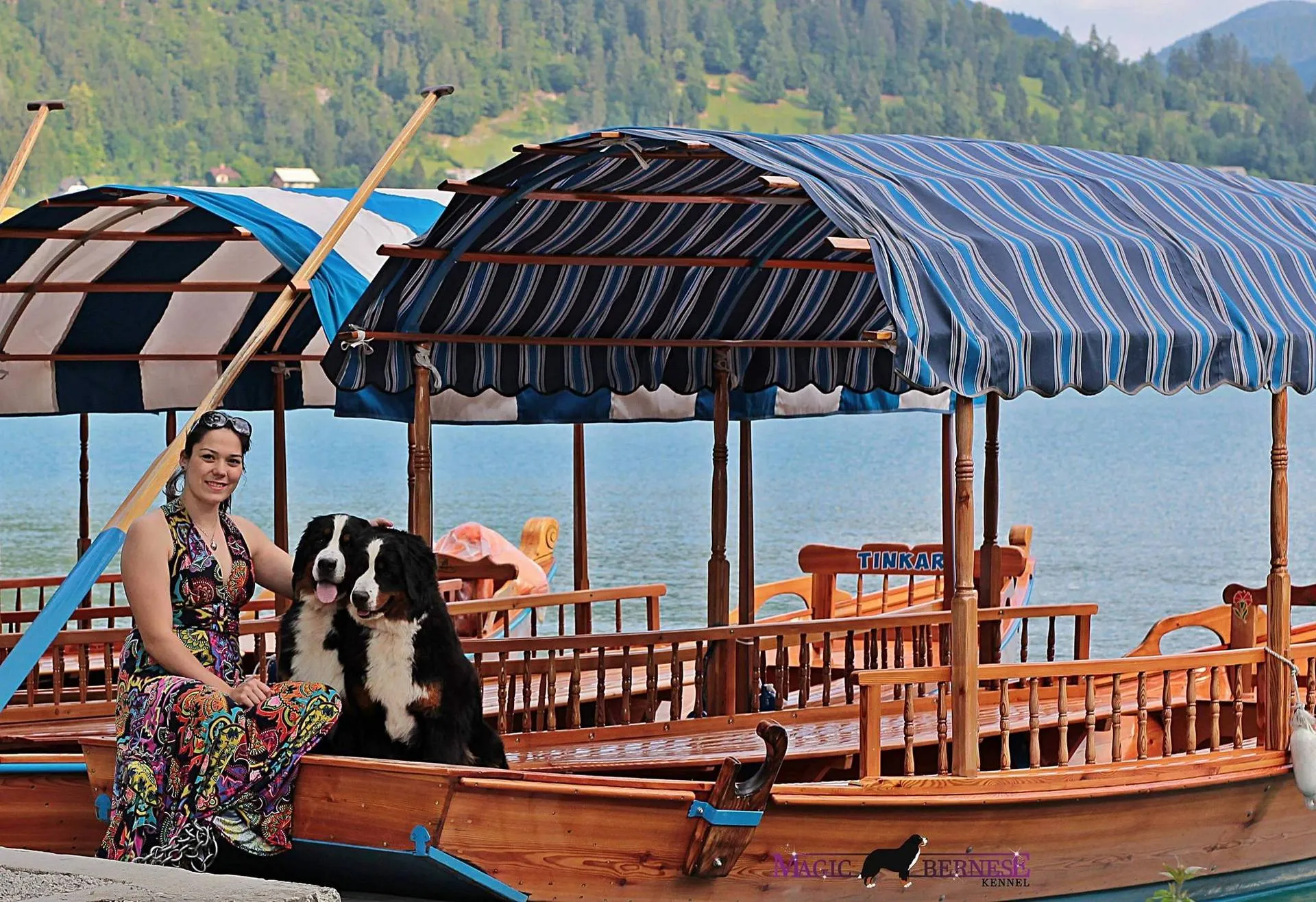 Bled kiállítás