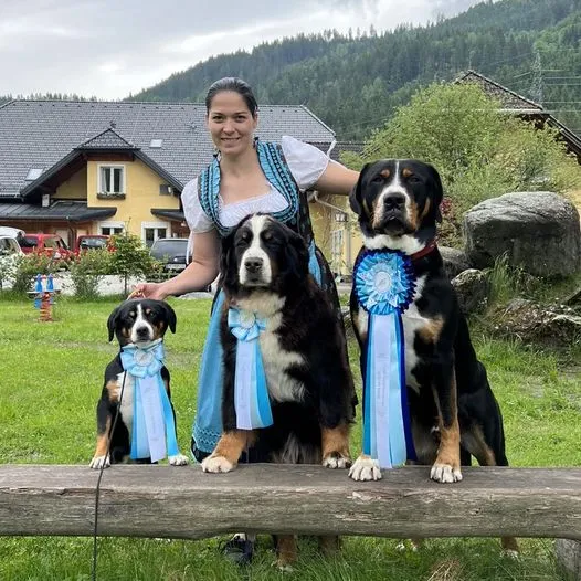 Olachgut Ausztria