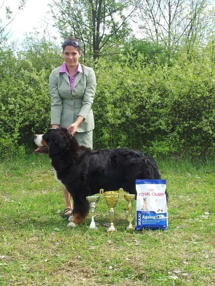 Miskolc CACIB CAC