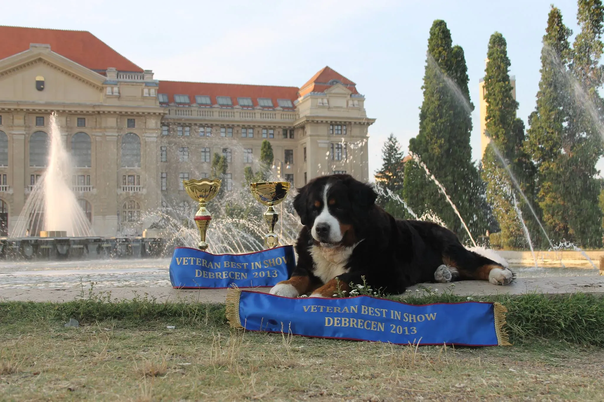 Debrecen 2x CACIB