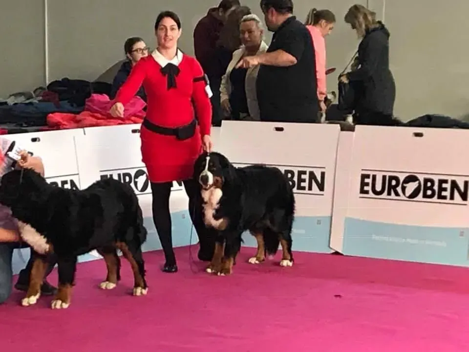 Déna Nyitra CACIB