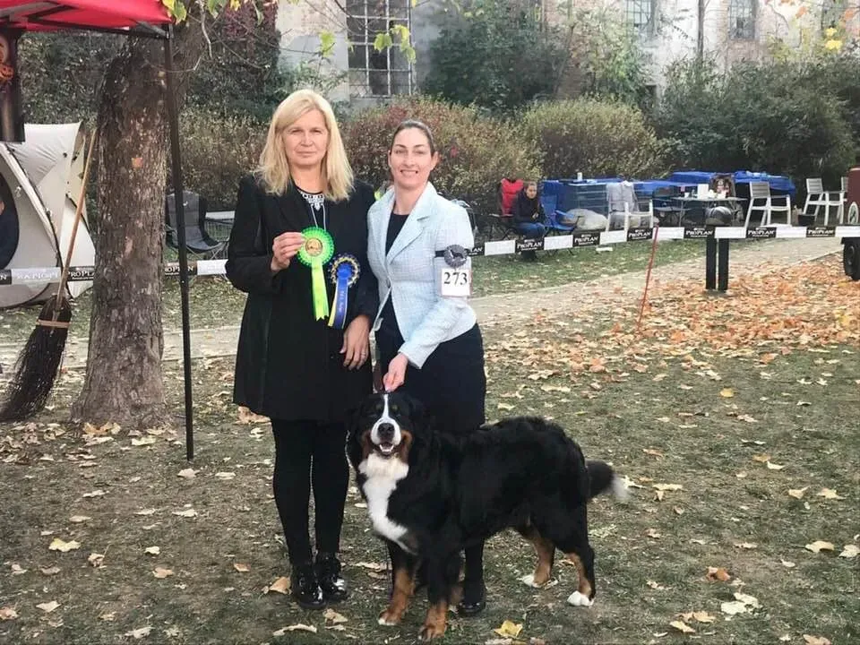 Déna Nagyvárad