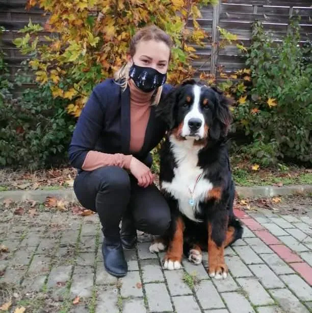 Kiállítási kép