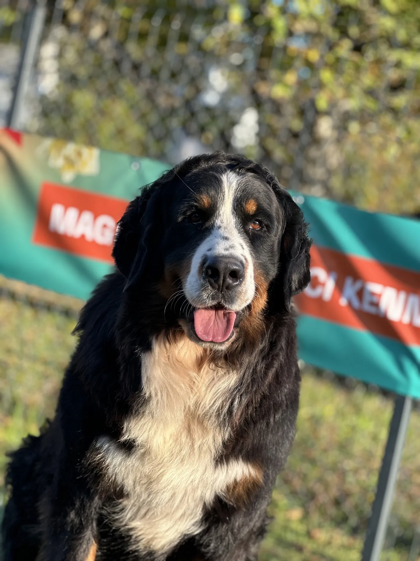 Janka