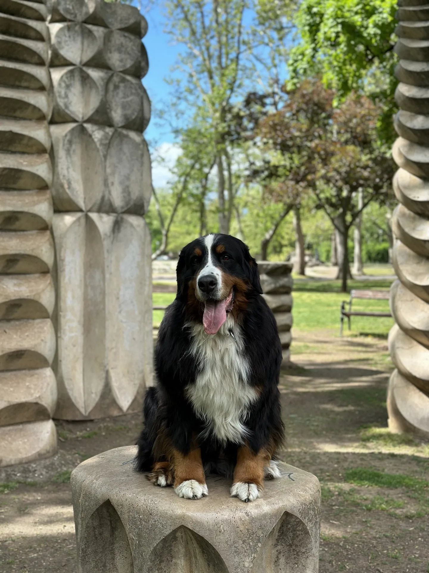 Alina
