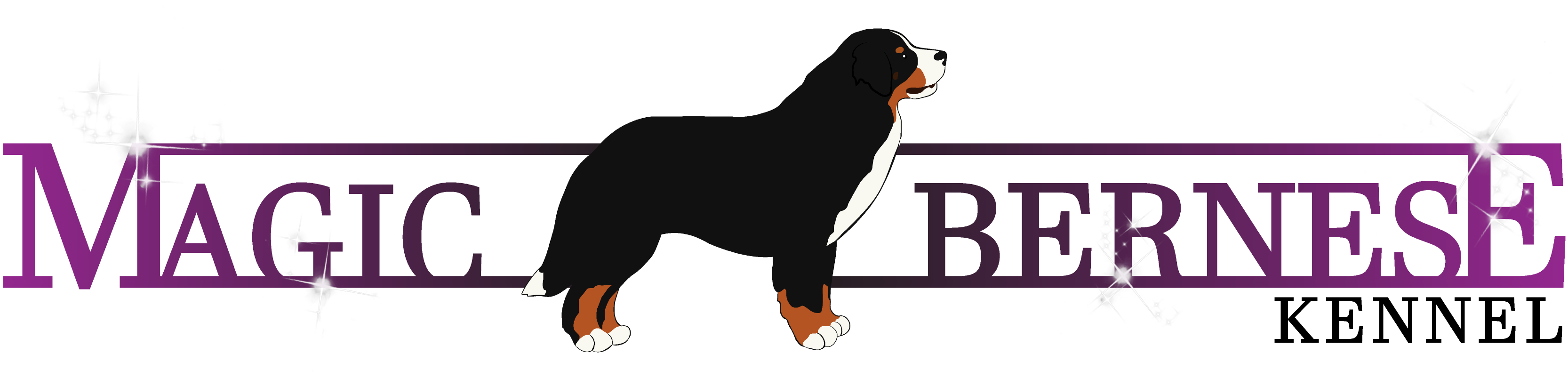 Magic Bernese