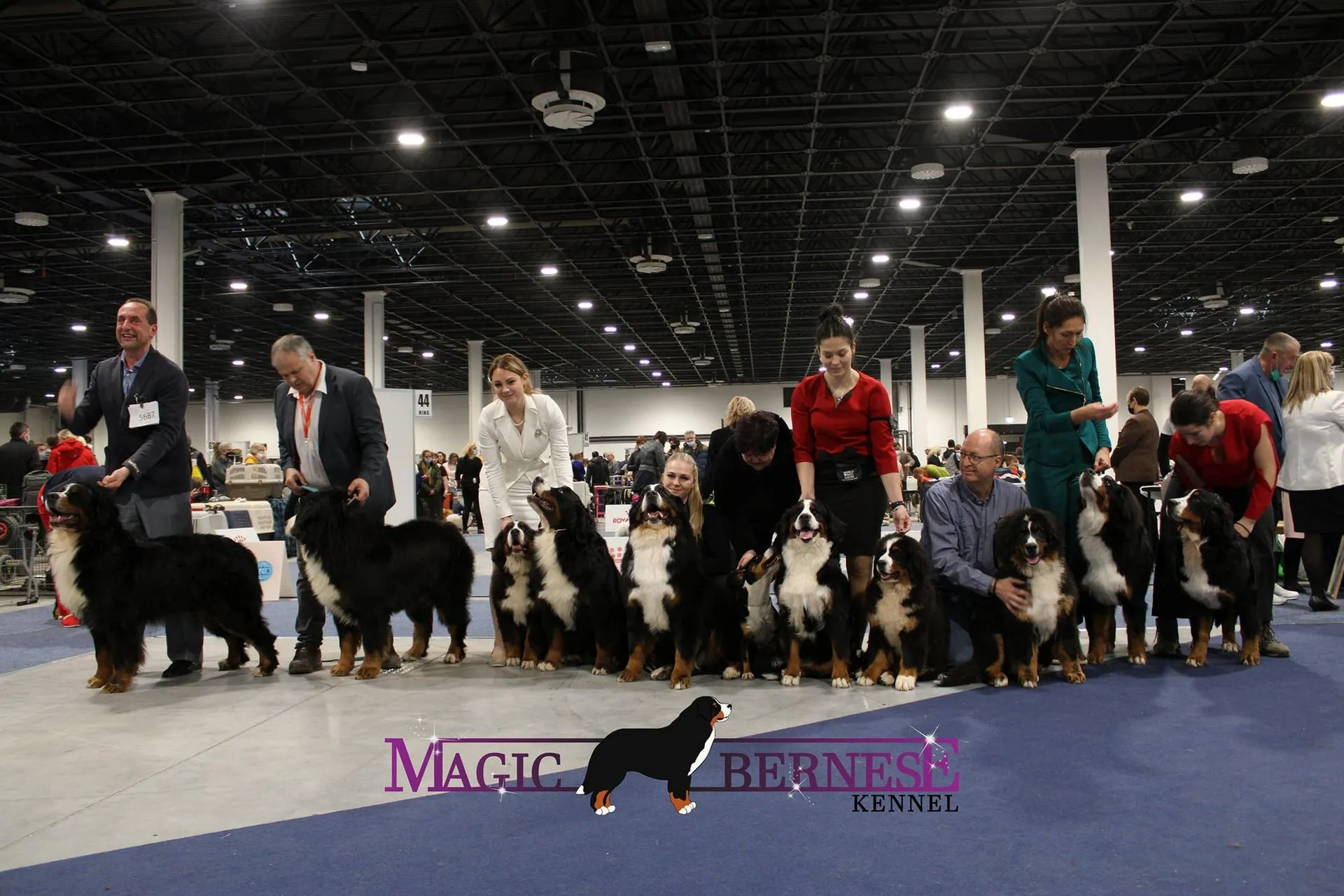 Magic Bernese Family