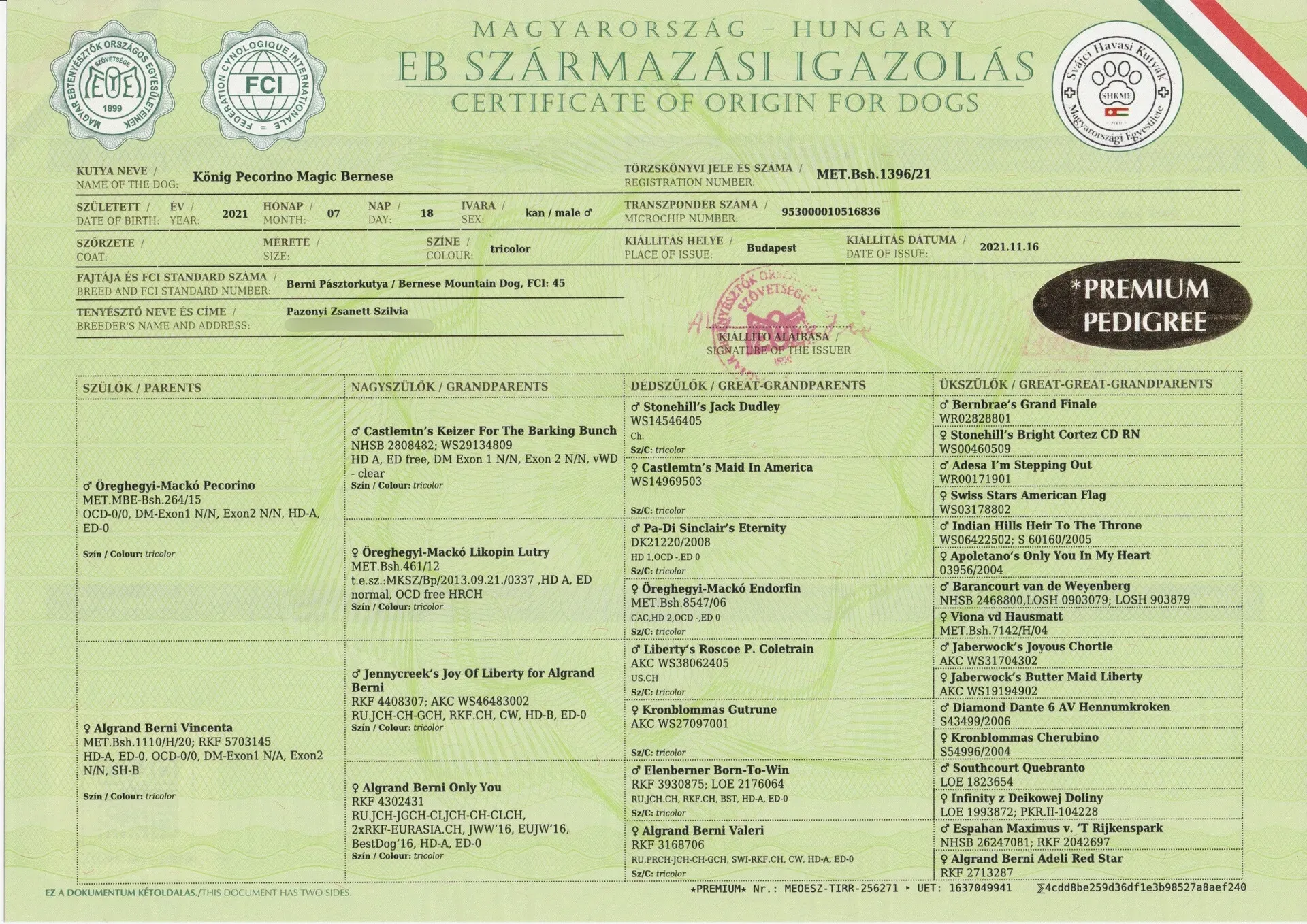 Törzskönyv